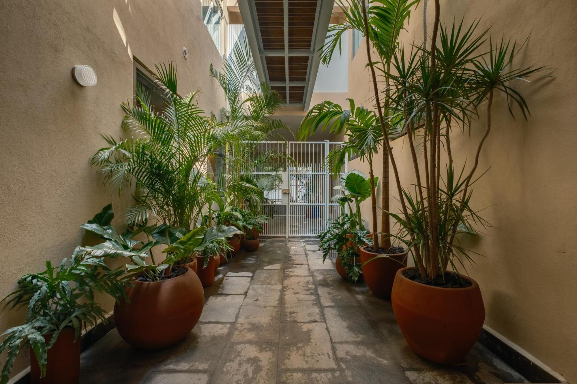 Cholula Condesa Hotel By Lumina — Photos 1